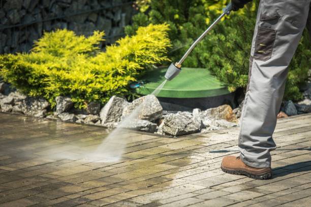 Best Solar Panel Cleaning  in Shamokin, PA