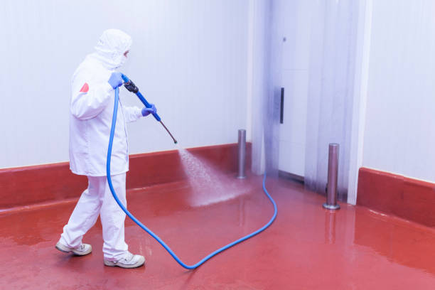 Best Building Exterior Washing  in Shamokin, PA